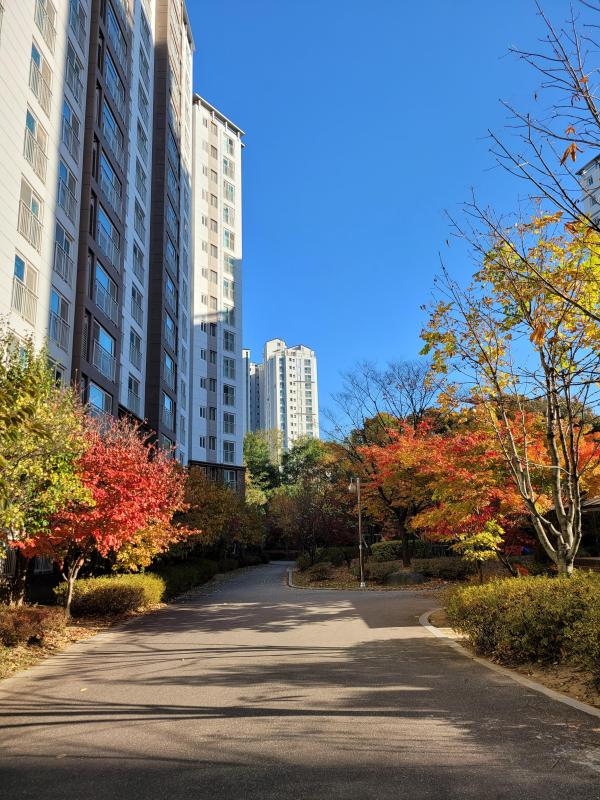 오깅