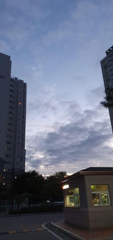 컨텐츠파일