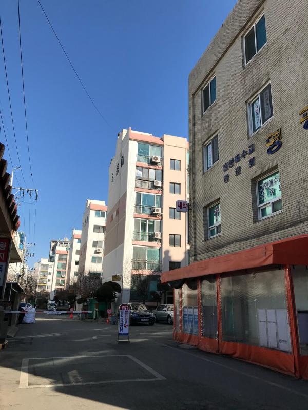 새털
