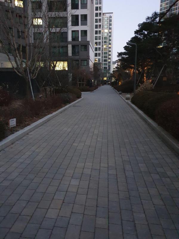 이안팍