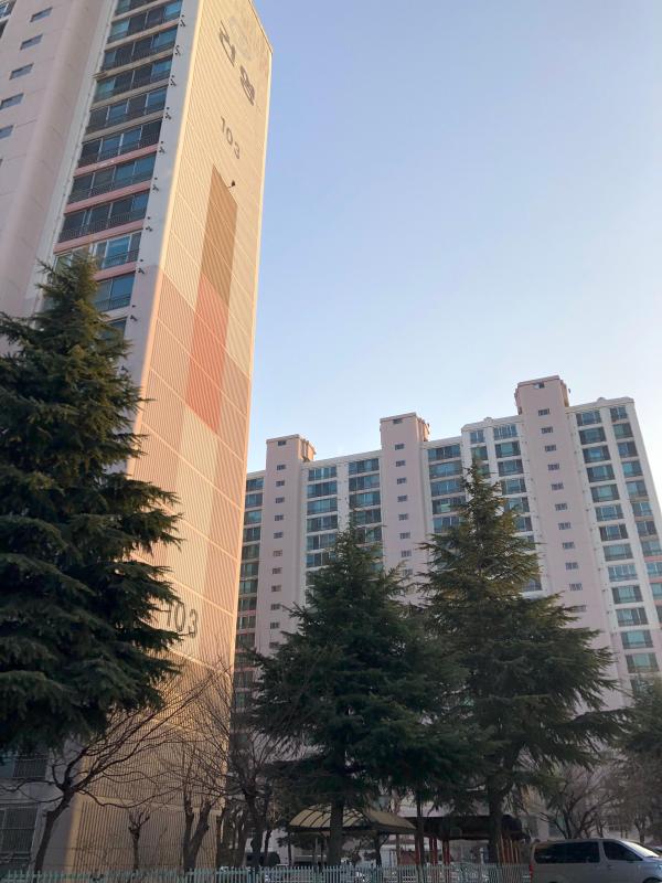 컨텐츠파일