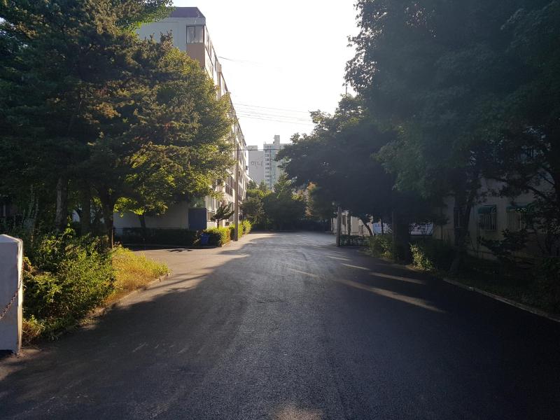 컨텐츠파일