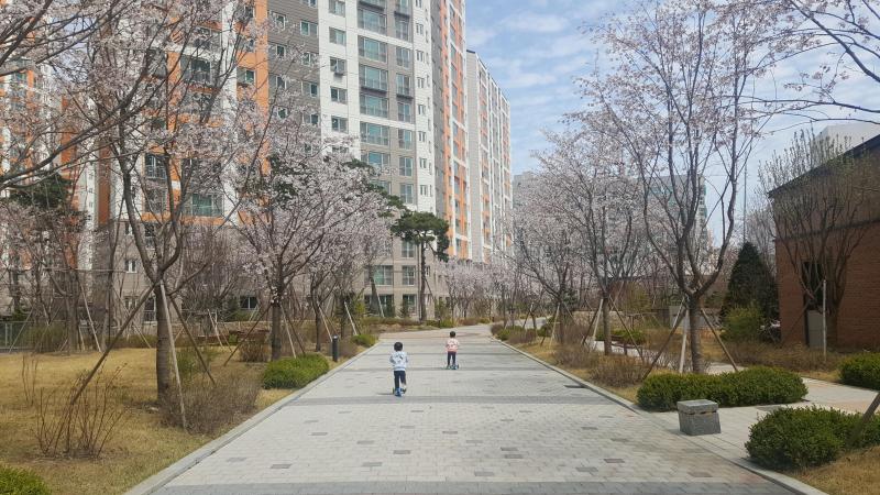 컨텐츠파일