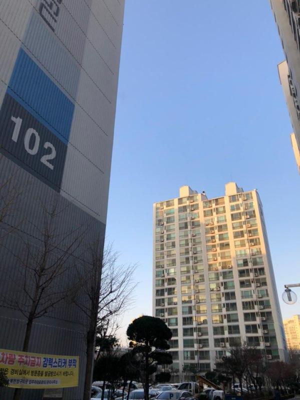 컨텐츠파일