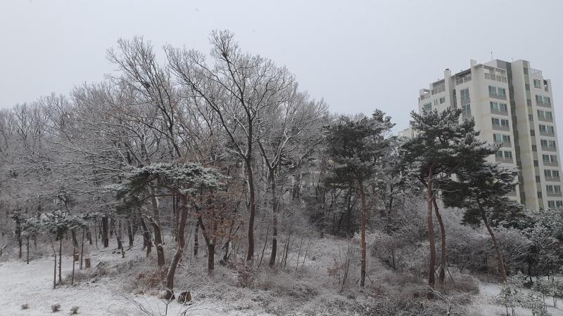 구름
