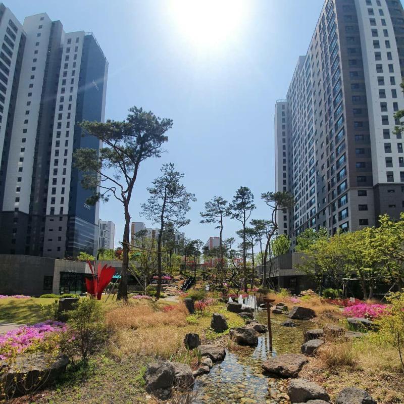 컨텐츠파일