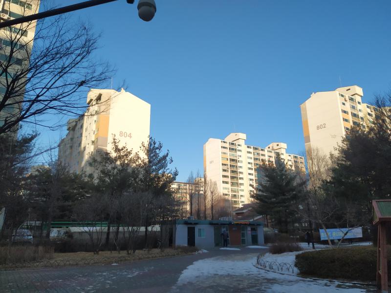 아람이