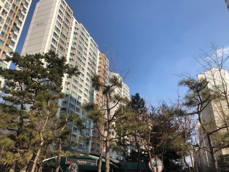 꿀집마니아