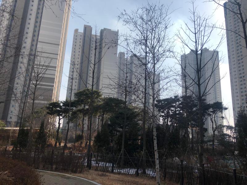 꿀집마니아