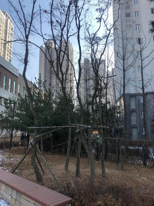 컨텐츠파일