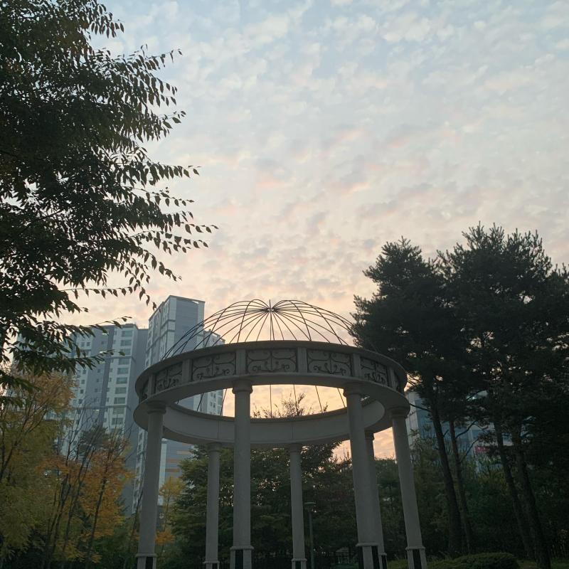 버니