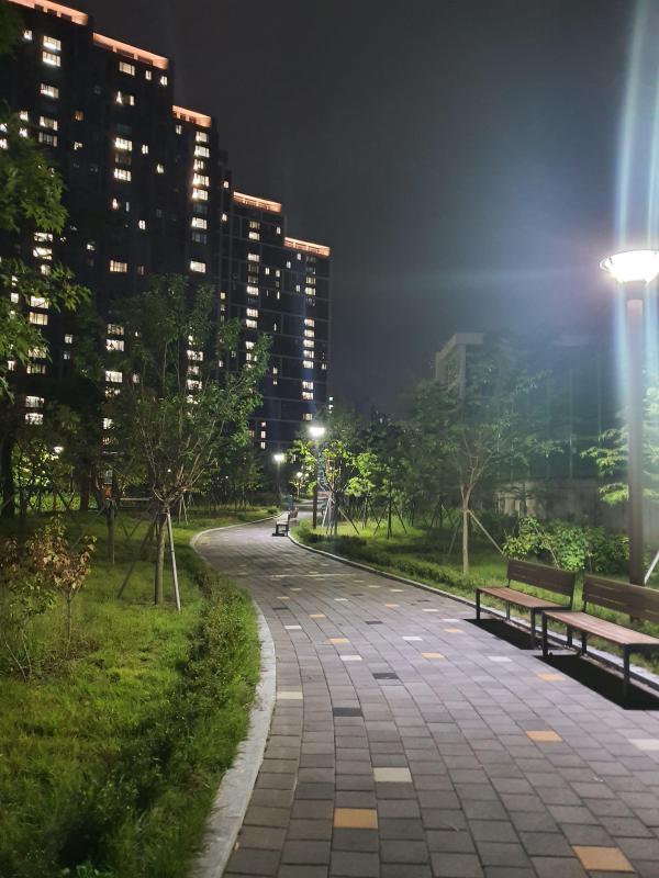 컨텐츠파일