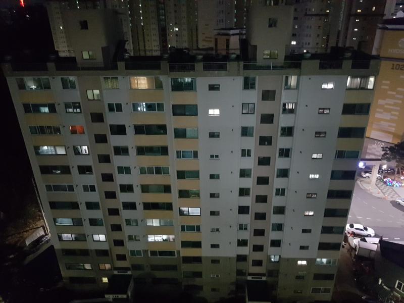 꼬꼬