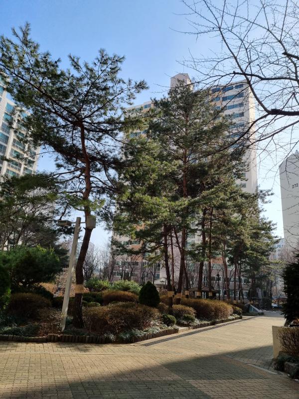 컨텐츠파일