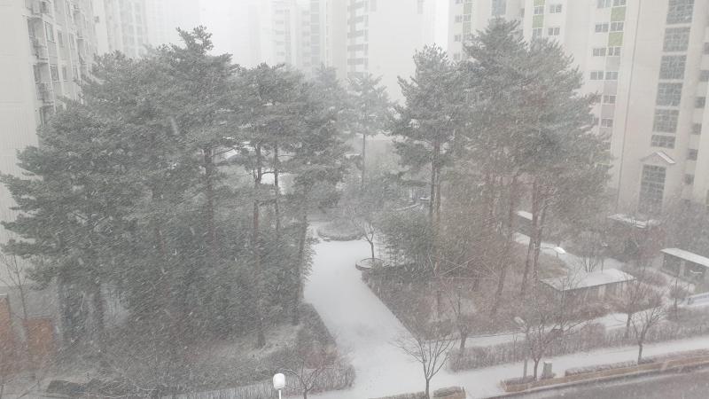 컨텐츠파일