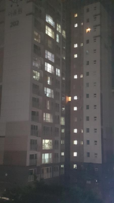 컨텐츠파일