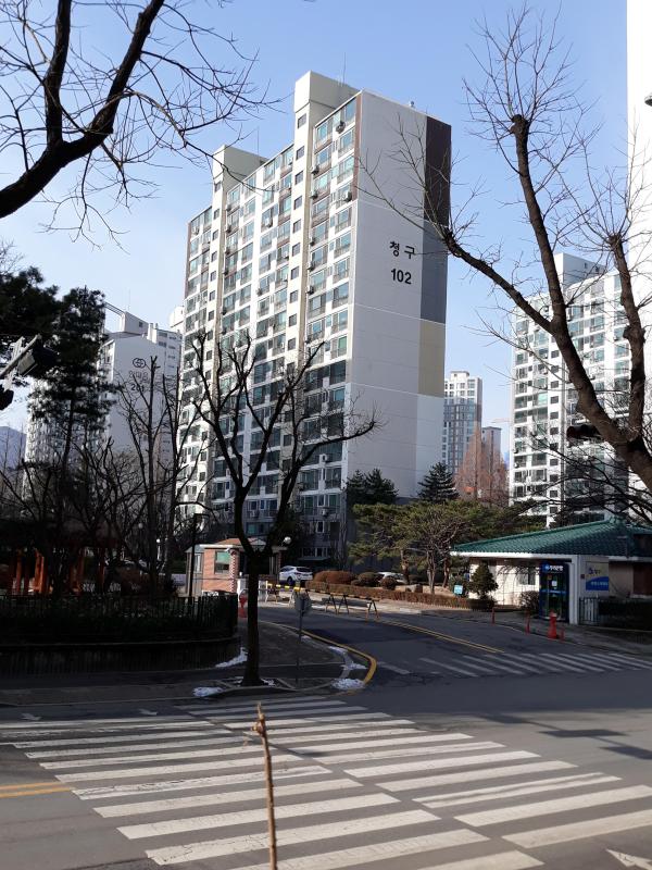 괴강