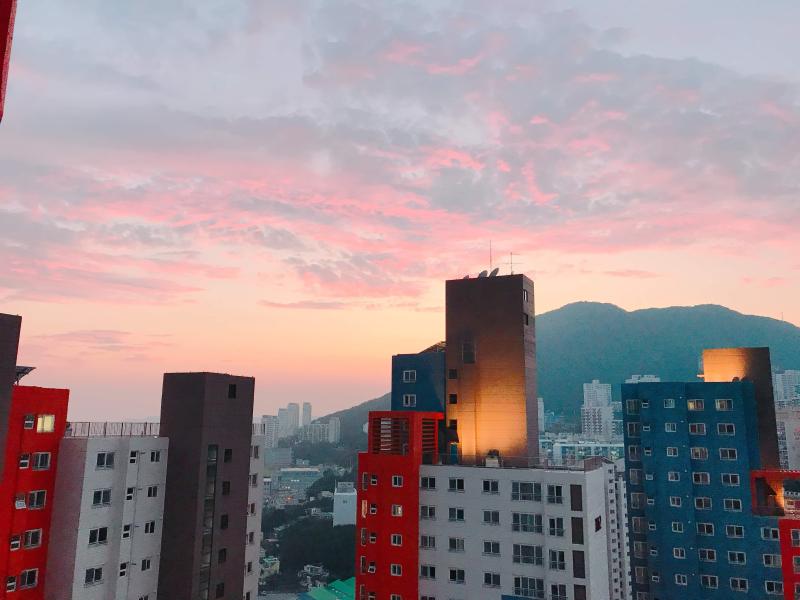 컨텐츠파일