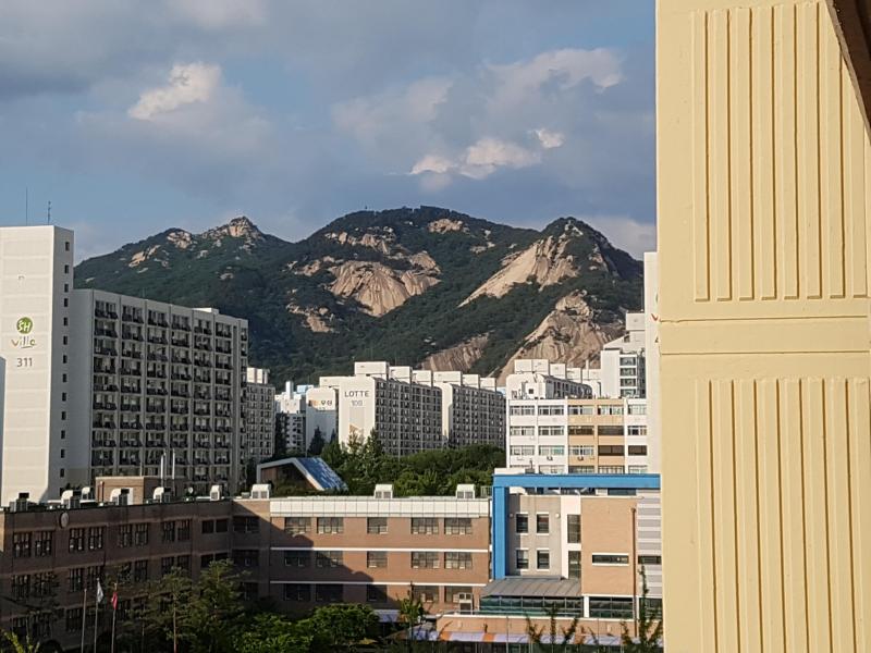 클로버