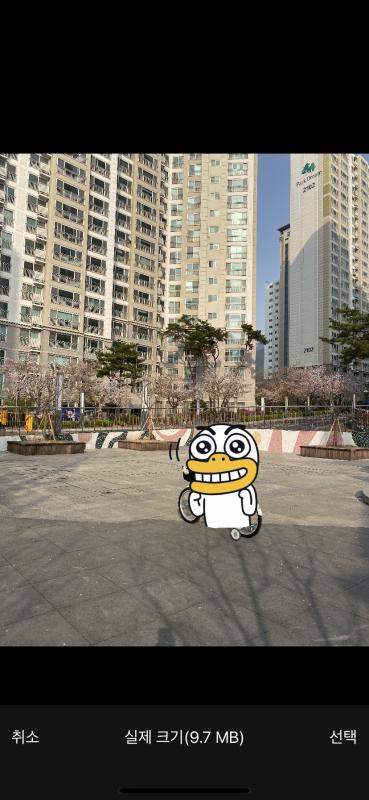 컨텐츠파일