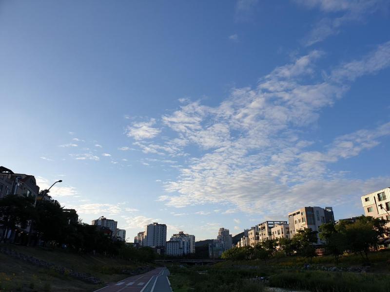 이미5
