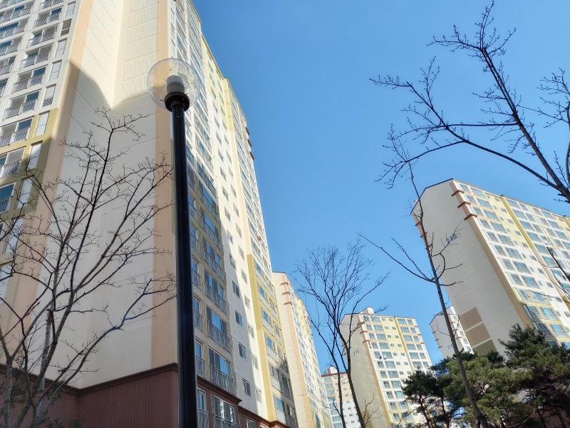 컨텐츠파일