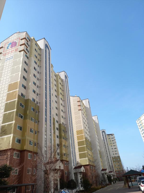 소이퐁