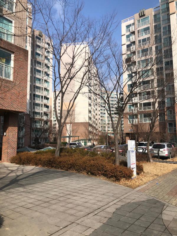 쫀득이