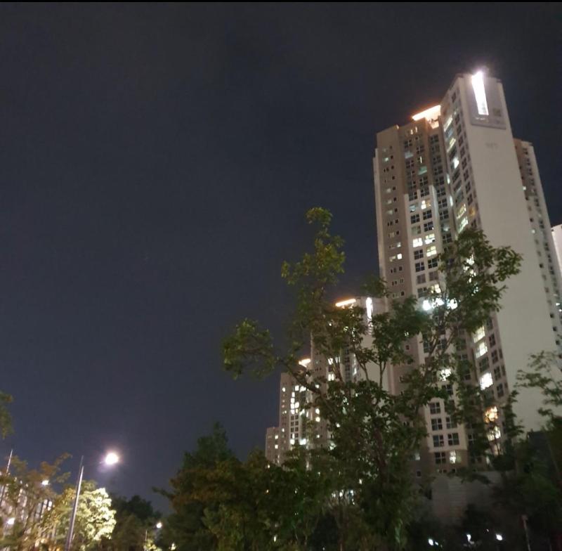컨텐츠파일