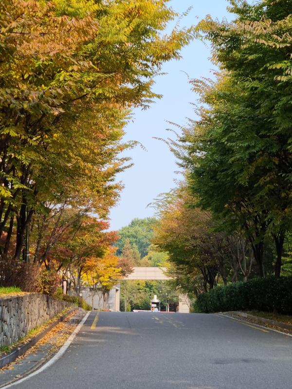 컨텐츠파일