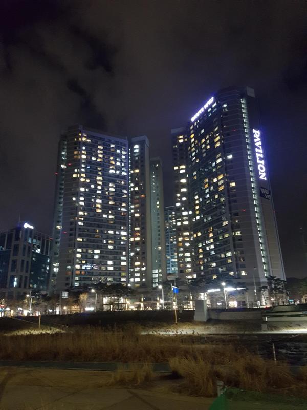 닌자