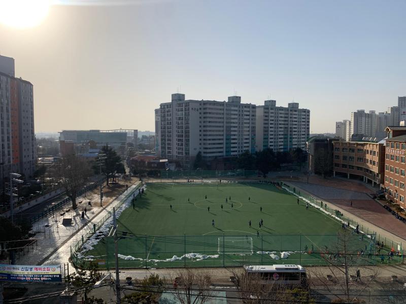 하루여우비