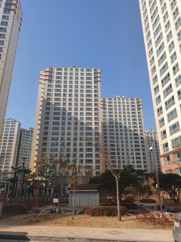 컨텐츠파일
