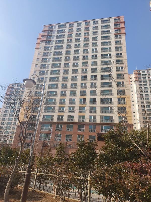 컨텐츠파일