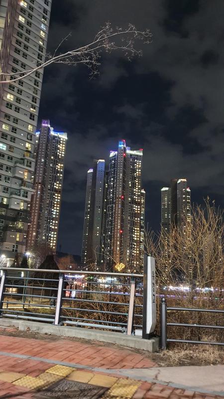 컨텐츠파일