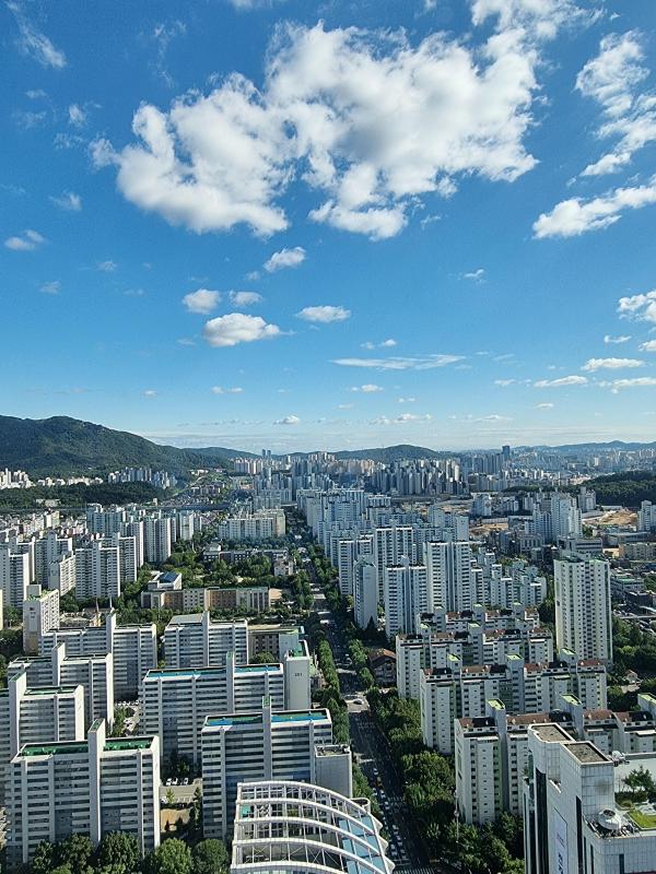 컨텐츠파일