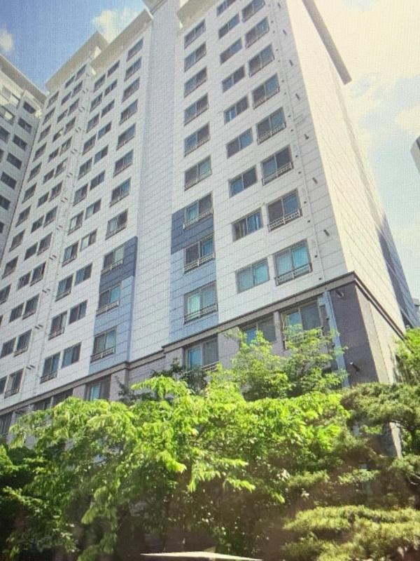 컨텐츠파일