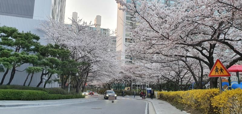 컨텐츠파일
