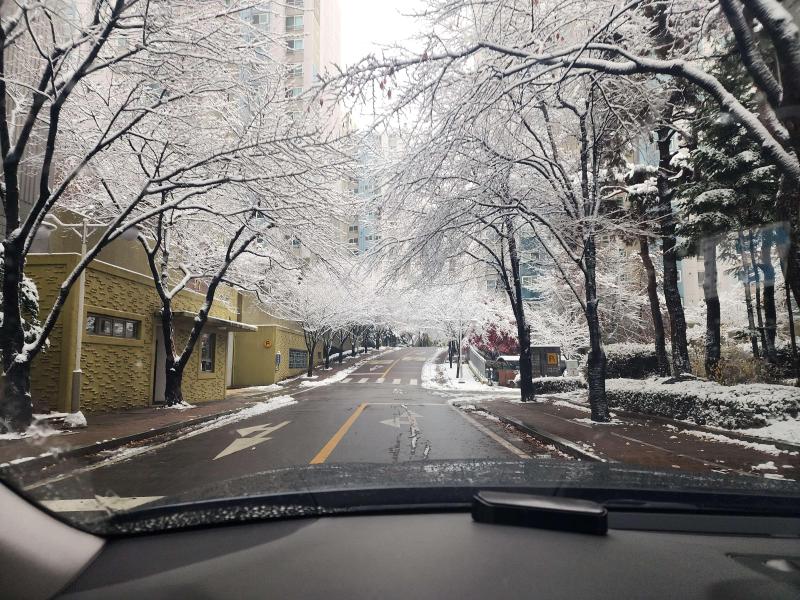 컨텐츠파일