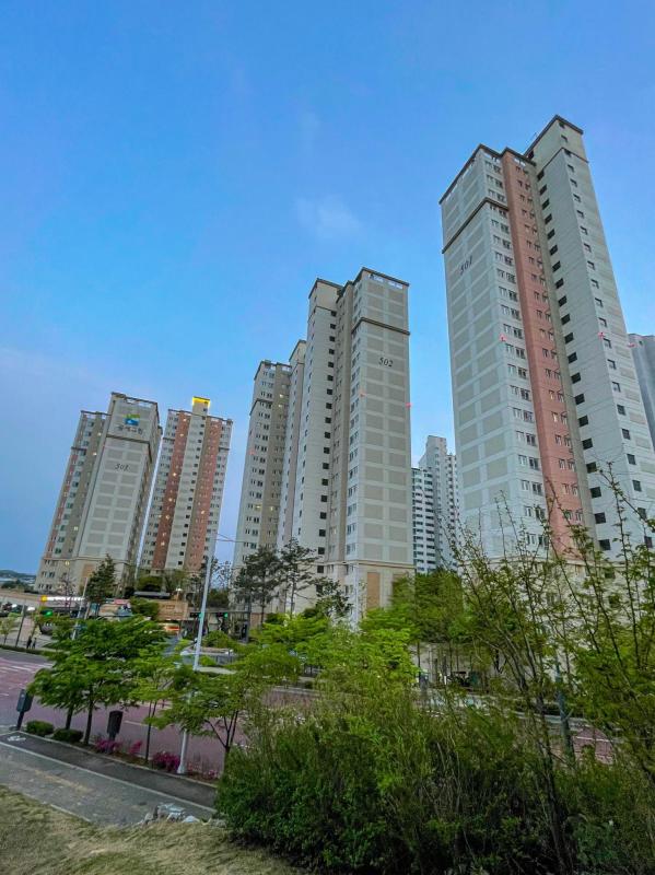 날아라풍꿈