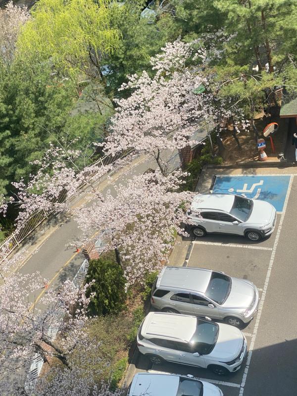 컨텐츠파일