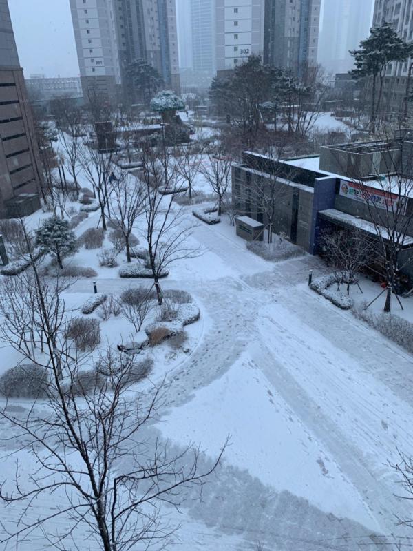 컨텐츠파일