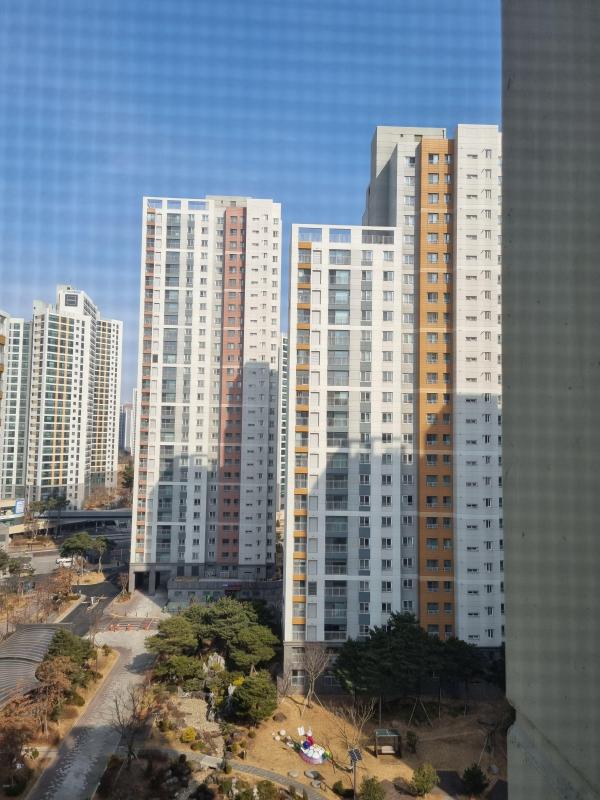 더샤비