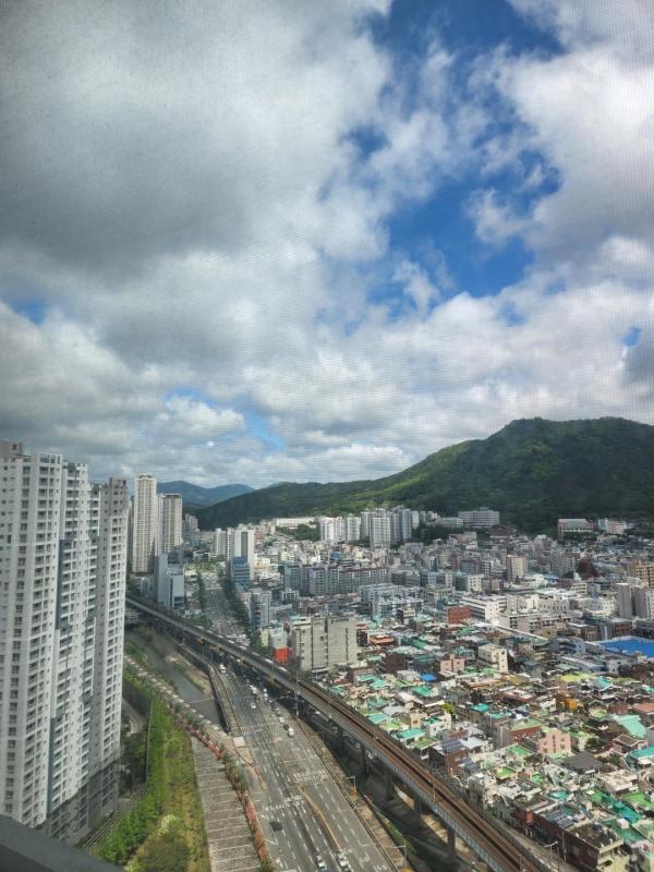 컨텐츠파일