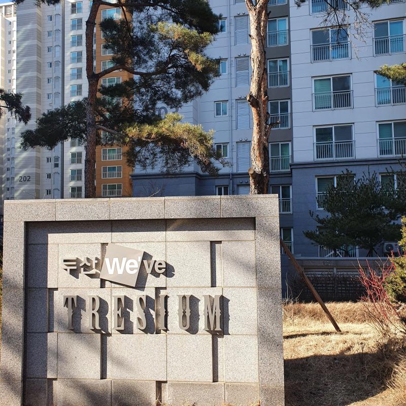 컨텐츠파일