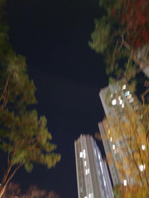 컨텐츠파일