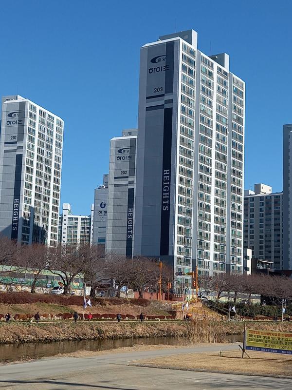 컨텐츠파일