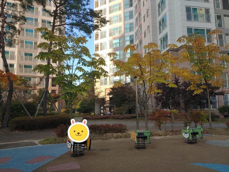 나는황금손