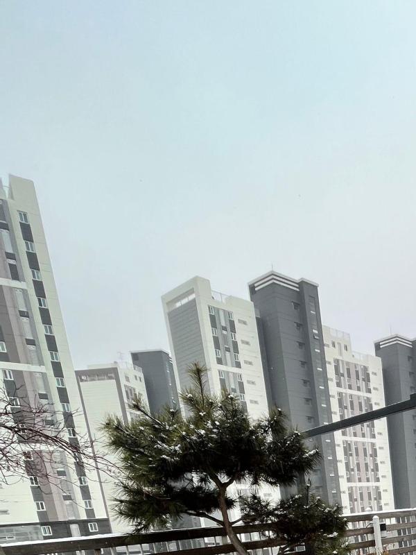 컨텐츠파일