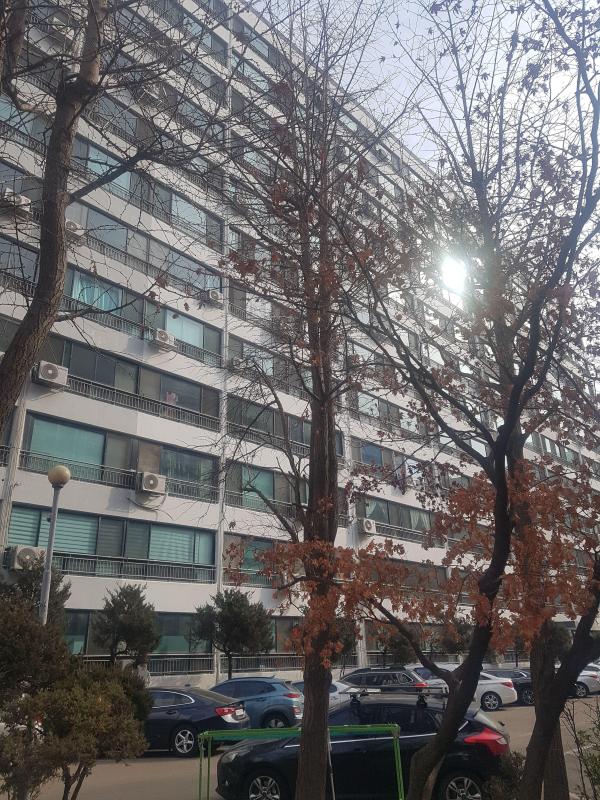 눌바리치